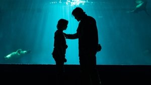 Barron s Cove (2025)