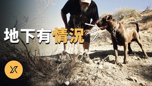 Episode 152 on X调查 Season 1 Episode 152 – February 15, 2022