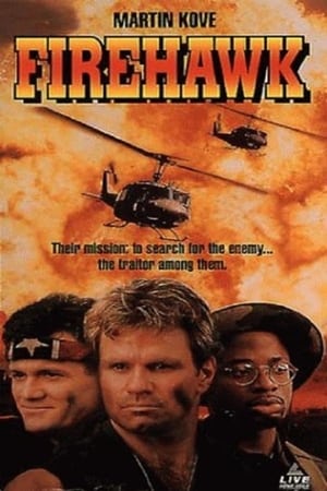 Poster Firehawk (1993)