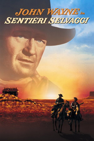 The Searchers 133