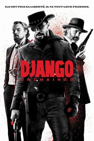  Django Déchaîné - Django Unchained - 2013 