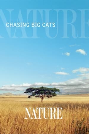 Image Chasing Big Cats