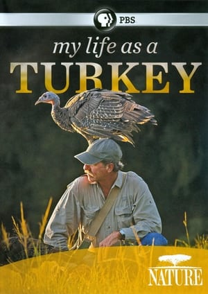 Poster My Life as a Turkey 2011