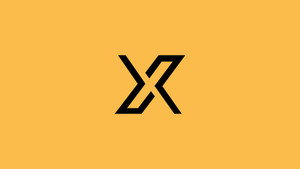 X调查
