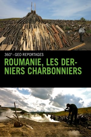 Roumanie, les derniers charbonniers (2013)