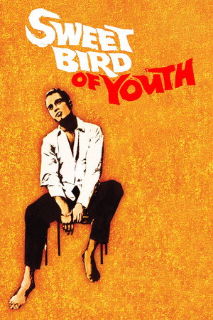 Sweet Bird of Youth