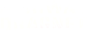 Highway Dragnet