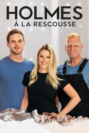 Affiche de Holmes 911