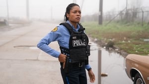 Policjanci i rasizm – CDA 2019
