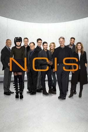 NCIS Season 15 Episode 2