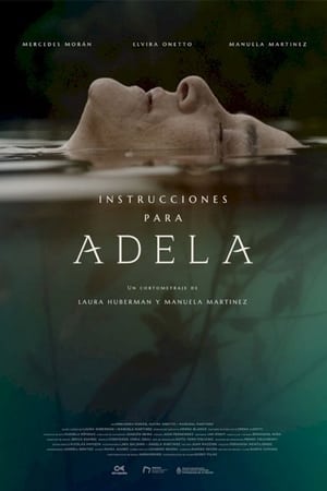 Poster Instrucciones para Adela (2020)