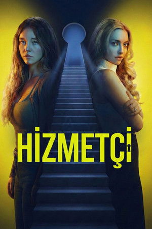 poster The Housemaid