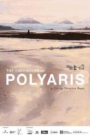 Poster The Chronicles of Polyaris 2014