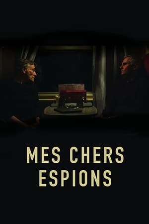 Poster Mes chers espions 2023