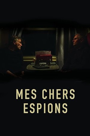 Poster Mes chers espions 2023