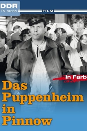 Poster Das Puppenheim in Pinnow 1984