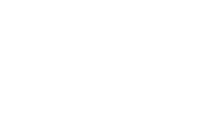 Dragon: The Bruce Lee Story