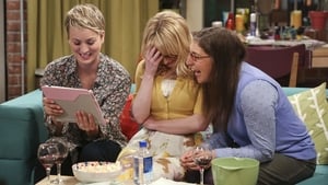 The Big Bang Theory 8 x Episodio 14