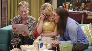 The Big Bang Theory: 8×14