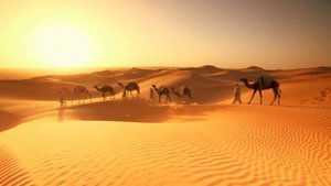 African Adventures