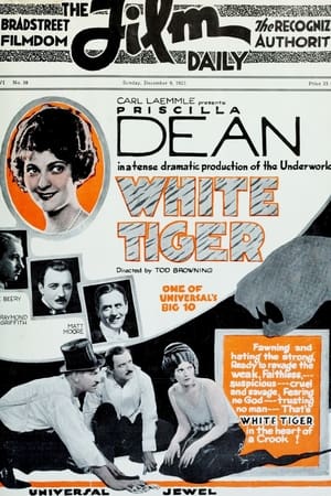 Poster White Tiger 1923