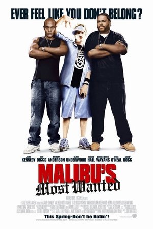 Watch El más buscado en Malibú (2003) HD Movie Online Free