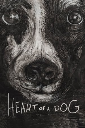 Poster Heart of a Dog 2015