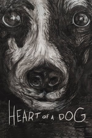 Image Heart of a Dog