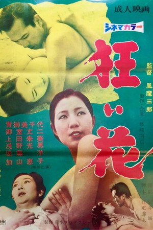 狂い花 海报