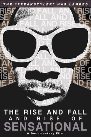 Poster The Rise and Fall and Rise of Sensational (2010)