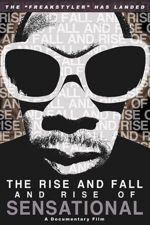 Poster The Rise and Fall and Rise of Sensational 2010