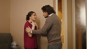 Mrs. Fazilet and Her Daughters: 2×25