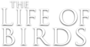 The Life of Birds — Logos 1