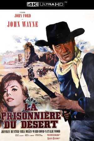 The Searchers 142
