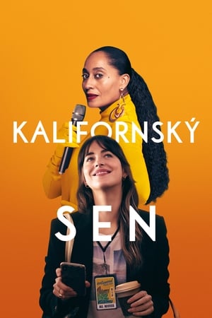 Poster Kalifornský sen 2020