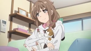 Seishun Buta Yarou wa Bunny Girl Senpai no Yume wo Minai: 1 Staffel 13 Folge