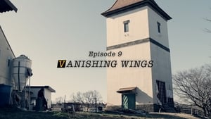 Image VANISHING WINGS