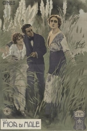 Poster Flower of Evil (1915)