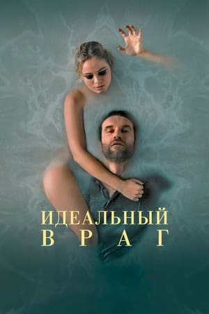 Poster Идеальный враг 2021