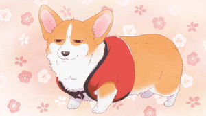 The Corgi and the Samurai: 1×16