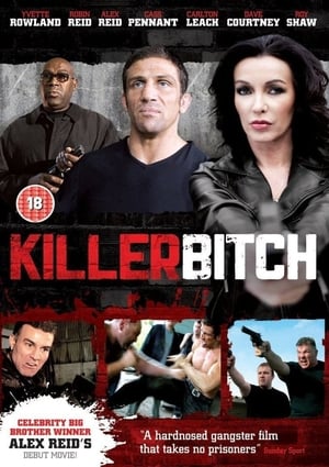 Poster Killer Bitch (2010)