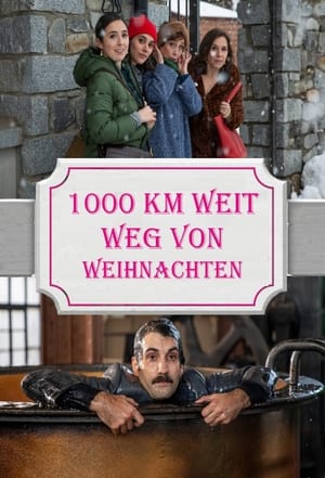 Image 1000 km weit weg von Weihnachten