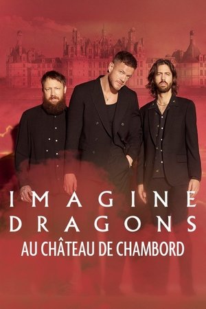 Image Imagine Dragons - Live au château de Chambord