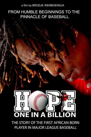 Poster Hope: One in a Billion 2017