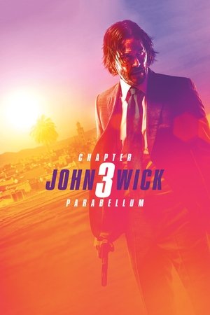 poster John Wick: Chapter 3 - Parabellum