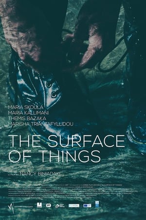 Poster The Surface of Things (2017)