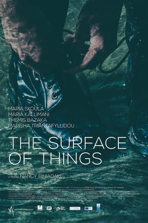 The Surface of Things poster