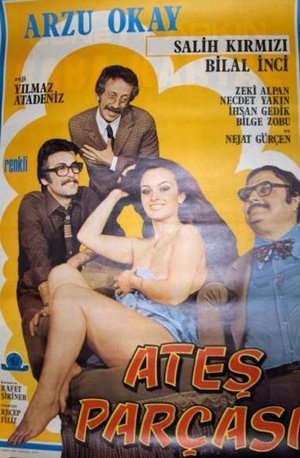 Poster Ateş Parçası 1977