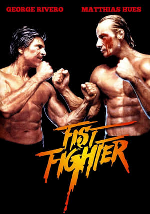 Fist Fighter poster