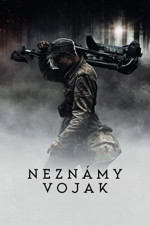 Poster Neznámy vojak 2017